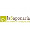 la saponaria